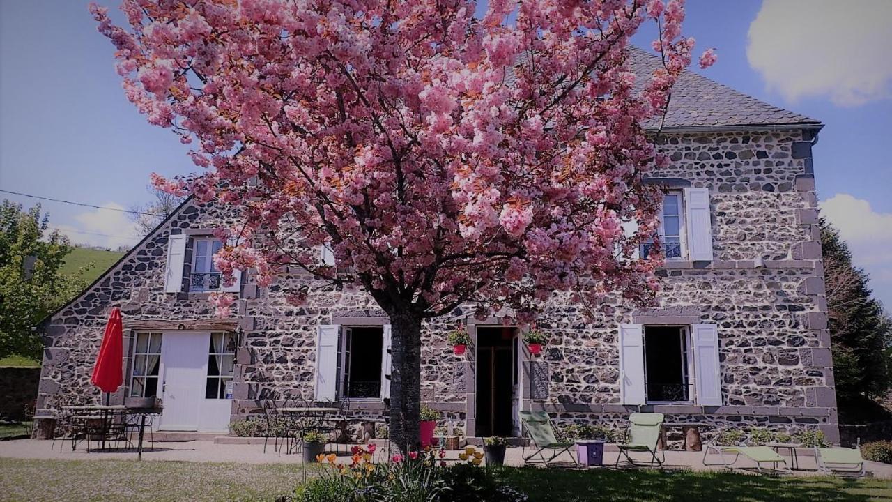 Maison d'Hôtes La Nichée Rochefort-Montagne Extérieur photo